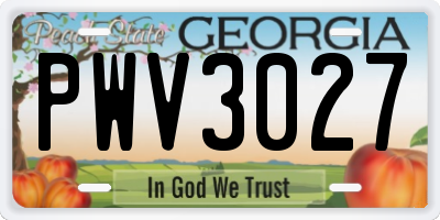GA license plate PWV3027