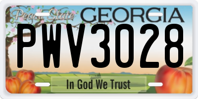 GA license plate PWV3028