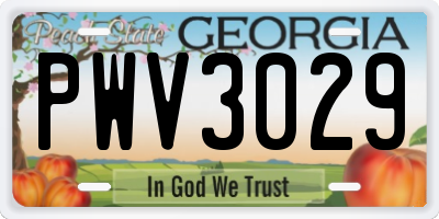 GA license plate PWV3029