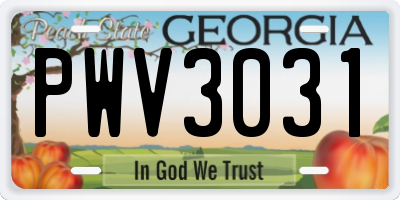 GA license plate PWV3031