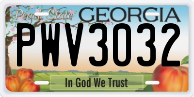 GA license plate PWV3032
