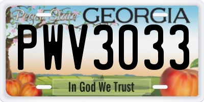 GA license plate PWV3033