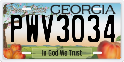 GA license plate PWV3034