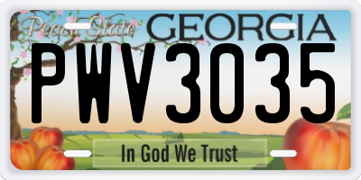 GA license plate PWV3035