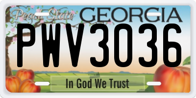 GA license plate PWV3036