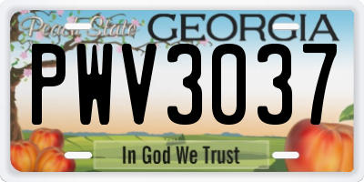 GA license plate PWV3037