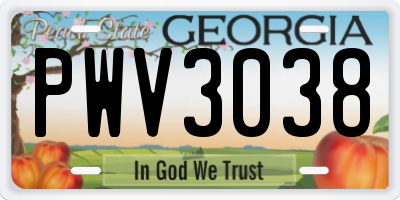 GA license plate PWV3038