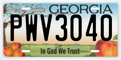 GA license plate PWV3040