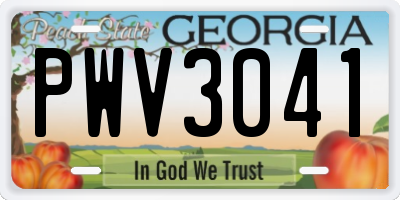 GA license plate PWV3041