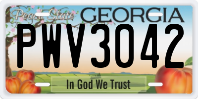 GA license plate PWV3042