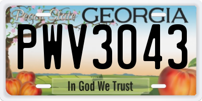 GA license plate PWV3043