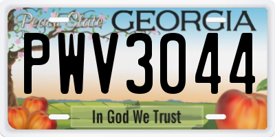 GA license plate PWV3044