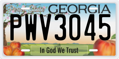 GA license plate PWV3045