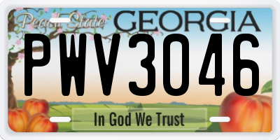 GA license plate PWV3046