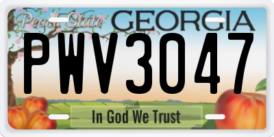 GA license plate PWV3047