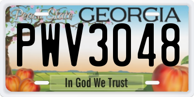 GA license plate PWV3048