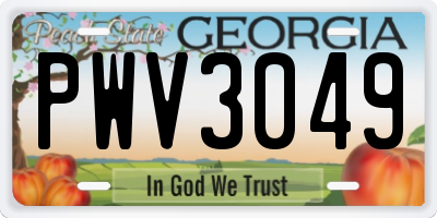 GA license plate PWV3049