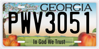 GA license plate PWV3051