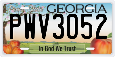 GA license plate PWV3052