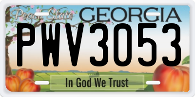 GA license plate PWV3053