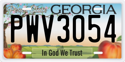 GA license plate PWV3054