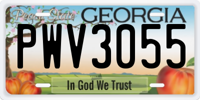 GA license plate PWV3055