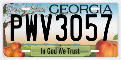 GA license plate PWV3057