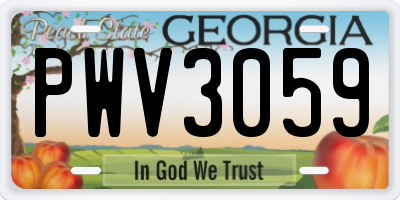 GA license plate PWV3059
