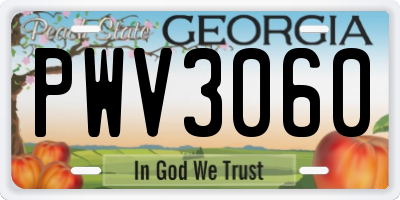 GA license plate PWV3060