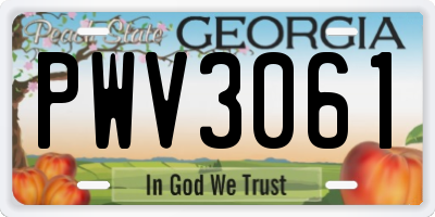 GA license plate PWV3061