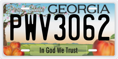 GA license plate PWV3062