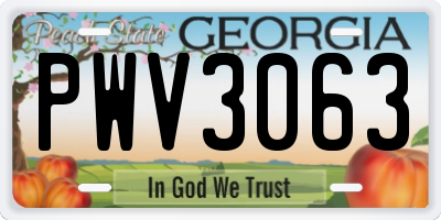 GA license plate PWV3063