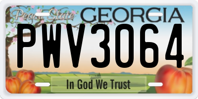 GA license plate PWV3064