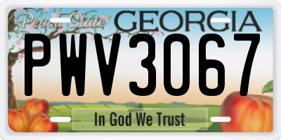 GA license plate PWV3067