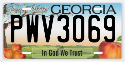 GA license plate PWV3069