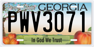 GA license plate PWV3071