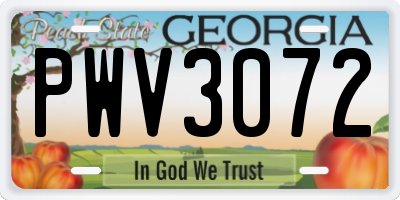 GA license plate PWV3072
