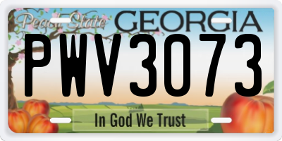 GA license plate PWV3073