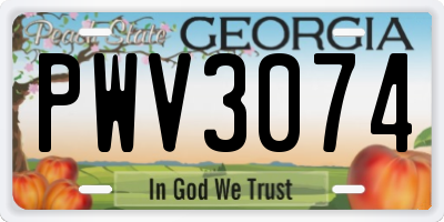 GA license plate PWV3074