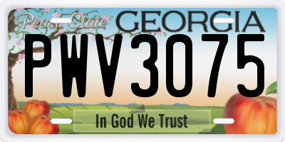 GA license plate PWV3075