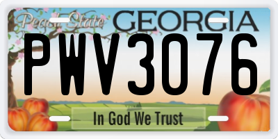 GA license plate PWV3076