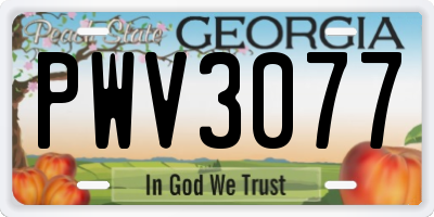 GA license plate PWV3077