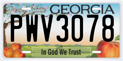 GA license plate PWV3078