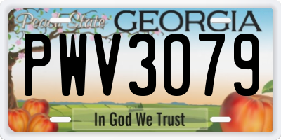 GA license plate PWV3079