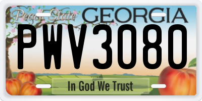 GA license plate PWV3080