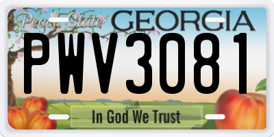 GA license plate PWV3081