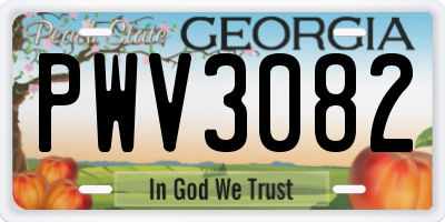 GA license plate PWV3082