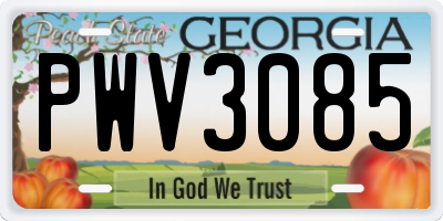 GA license plate PWV3085