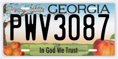 GA license plate PWV3087