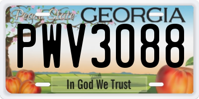 GA license plate PWV3088